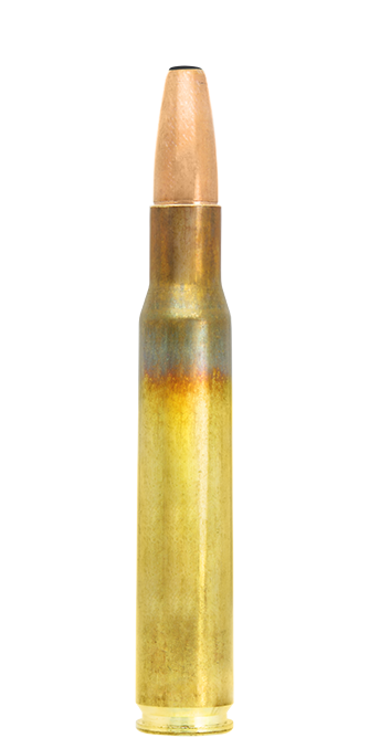 .30-06 Springfield / 13.0 g (200 gr) Mega hunting ammunition