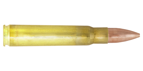 Lapua 4318029-8x57-IS-cartridge-OT-G573