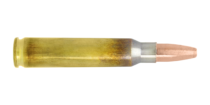 N315026-.223 Remington cartridge Naturalis N566 (1)
