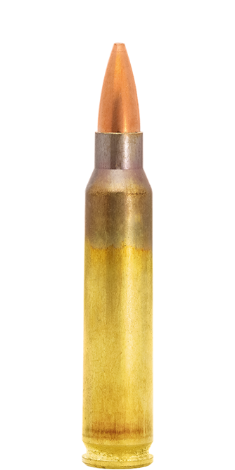 4315015-223 Remington cartridge Scenar-L GB544 target cartridge
