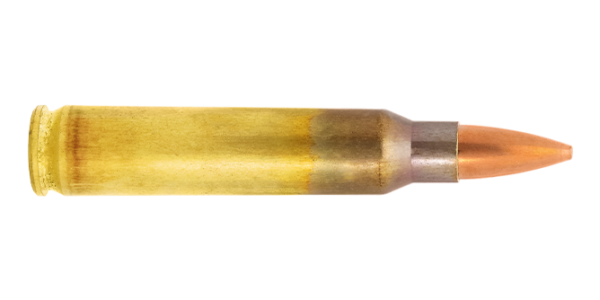 4315015-223 Remington cartridge Scenar-L GB544 target cartridge