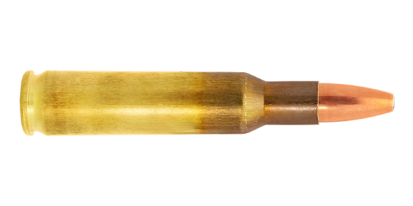 4315030-222-Remington-cartridge-SP-E539