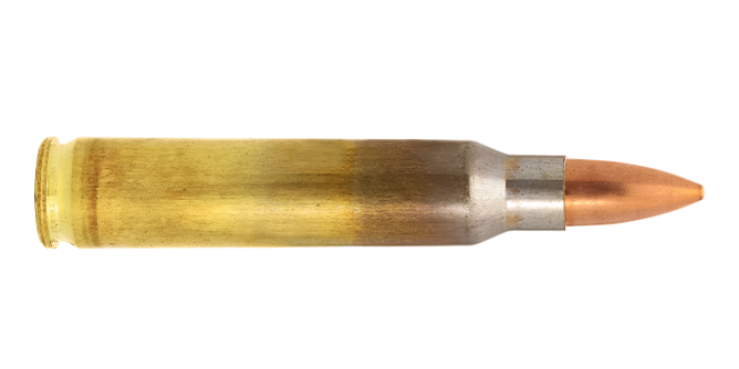 .223 Rem. / 3.6 g (55 gr) FMJ match cartridge