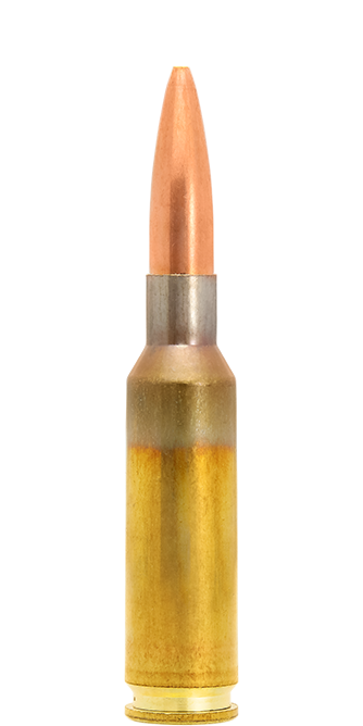 6.5x47 Lapua / 8.0 g (123 gr) Scenar open tip match cartridge