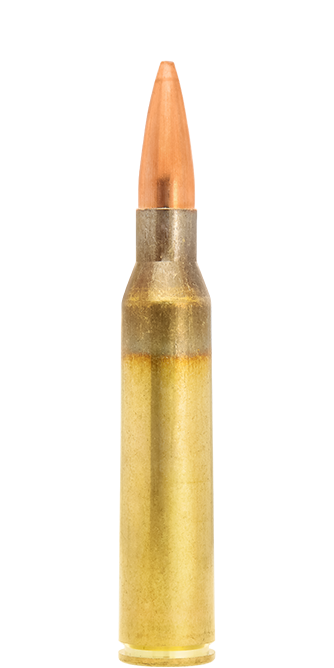 .338 Lapua Mag. / 16.2 g (250 gr) Scenar target tactical ammunition