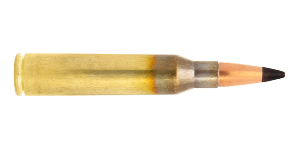 4318035-338-Lapua-Magnum-cartridge-Armor-Piercing-AP485