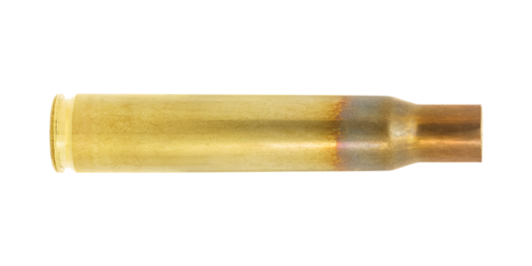 30-06 Springfield brass case by Lapua