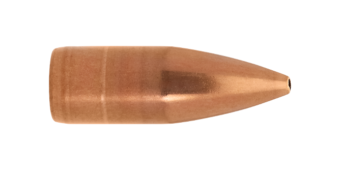 4PL8001 Lapua Open Tip bullet G573