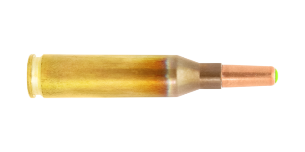 N316201-243-Win-Naturalis- hunting cartridge N509