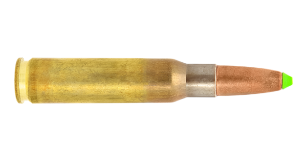 .308 Win. / 11.0 g (170 gr) Naturalis leadfree copper hunting cartridge