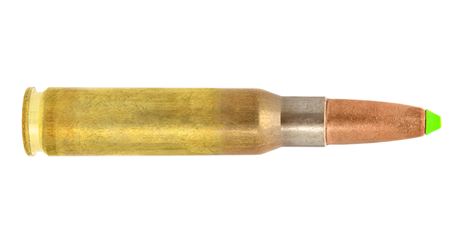 .308 Win. / 11.0 g (170 gr) Naturalis leadfree copper hunting cartridge