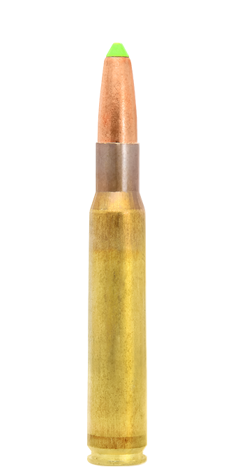 N317106- 30-06 cartridge Springfield Naturalis N558(1)