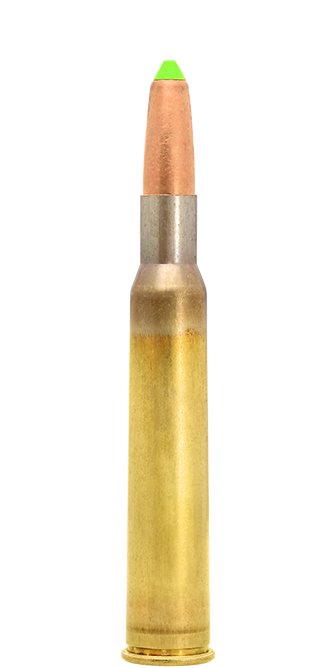 7x65R / 10.1 g (156 gr) Naturalis hunting cartridge