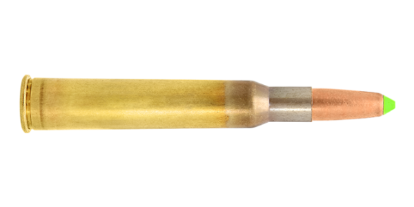 7x65R / 10.1 g (156 gr) Naturalis hunting cartridge