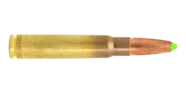 8x57 IS / 11.7 g (180 gr) Naturalis hunting cartridge