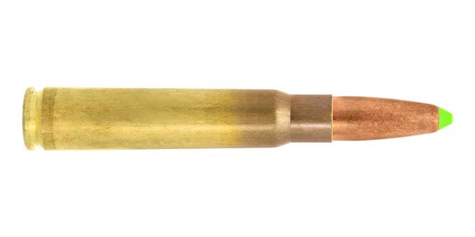 8x57 IS / 11.7 g (180 gr) Naturalis hunting cartridge