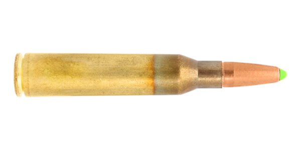 338 Lapua Mag naturalis hunting cartridge