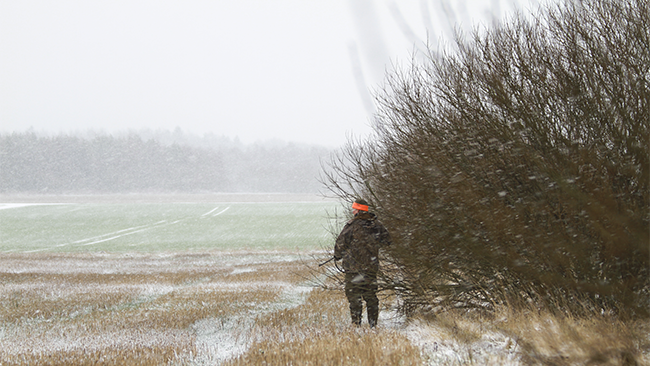 Lapua Blog hunting caliber pic